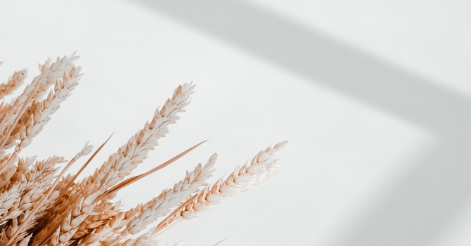 Chiropractic for Neck Pain: Natural Relief That Restores Motion and Comfort