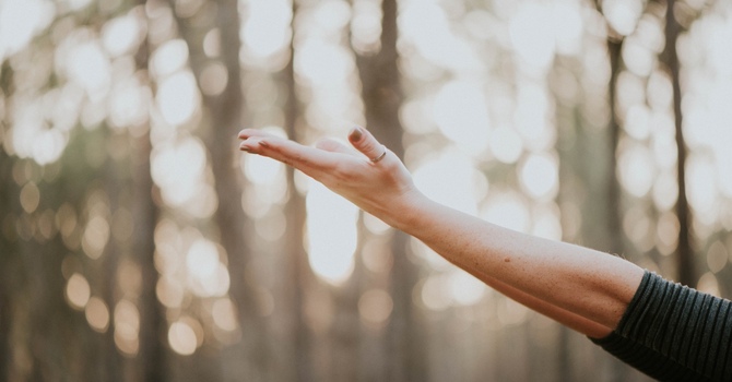 Chiropractic for Neck Pain: Natural Relief That Restores Motion and Comfort image